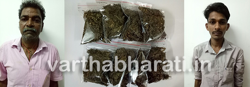 ಗಾಂಜಾ ಮಾರಾಟ ಪ್ರಕರಣ:  ಇಬ್ಬರು ಆರೋಪಿಗಳ ಸೆರೆ